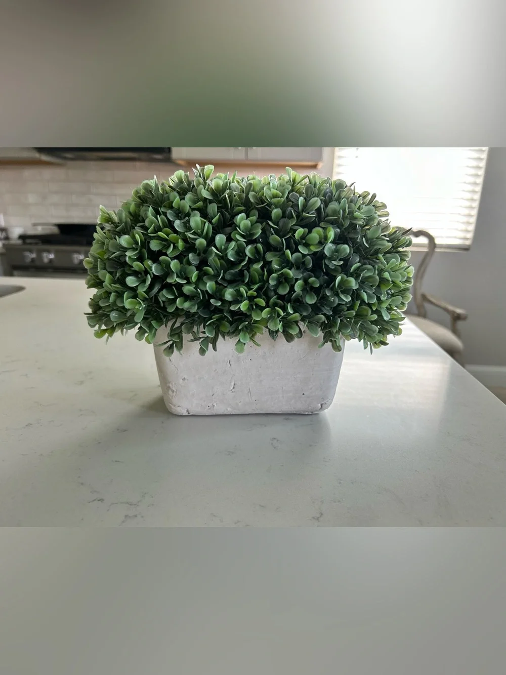 Faux boxwood plant in heavy planter